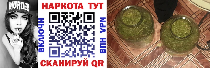 Псилоцибиновые грибы Теберда