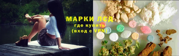ПСИЛОЦИБИНОВЫЕ ГРИБЫ Дмитров