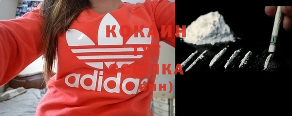 трава Тайга