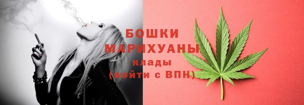 ALPHA-PVP Елизово