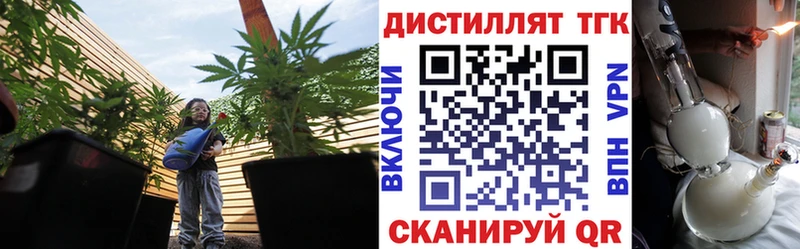 блэк спрут как зайти  Теберда  Дистиллят ТГК THC oil 