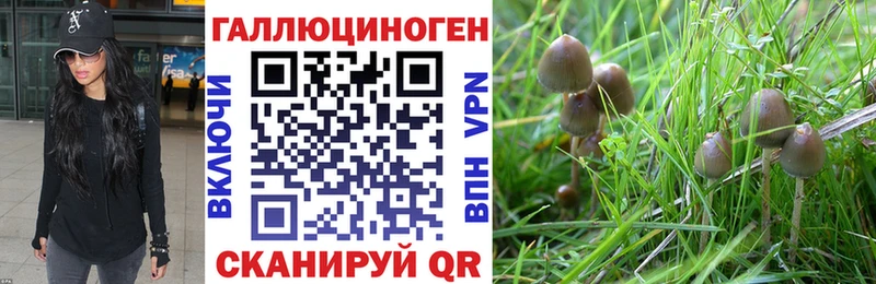 Псилоцибиновые грибы GOLDEN TEACHER  Теберда 